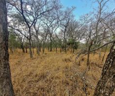 Vacant Land / Plot for sale in Moditlo Wildlife Estate