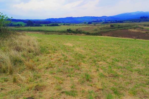 On offer is an unimproved subdivision of 49,16 ha in extent of which some 36 ha been cultivated and is mainly made up of red soils. ...