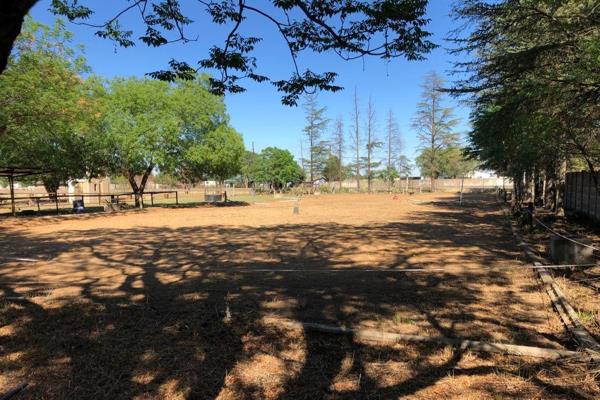 2.28 ha - Small holding in Vanderbijlpark area
Near the tar road, for the horse lover
3 Phase electricity, with borehole and ...