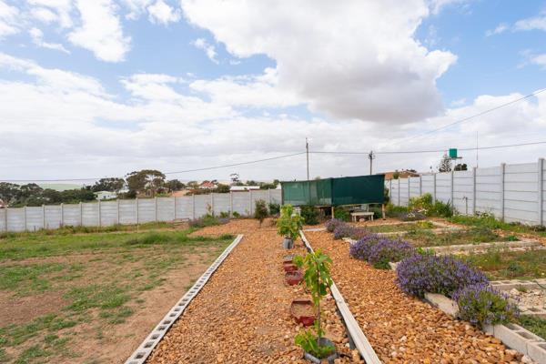 Joint Mandate: Fully enclosed level cleared plot in central Napier close to all ...