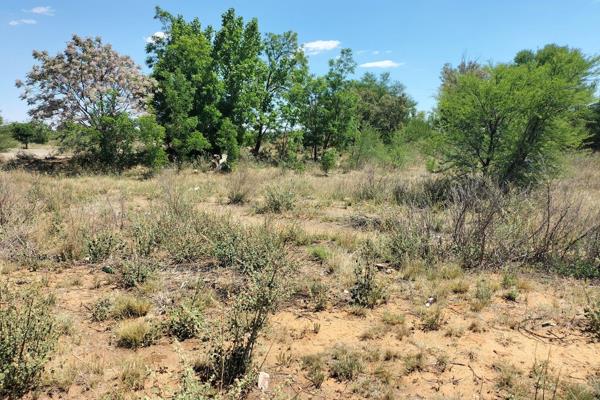 This vacant stand near the N8 and Bloemfontein is perfect for developers and visionary businesspeople. Located in the fast-growing ...