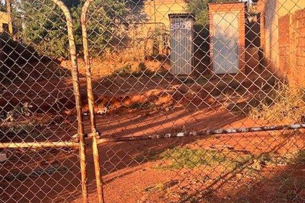 Vacant  stand 
209 sqm
Thulani (Snakepark)
Fully titled 
R220 000 Negotiable