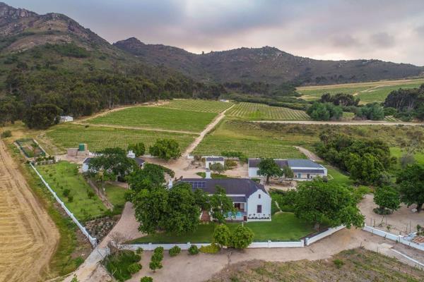 Nestled in the picturesque Swartland region, this exceptional wine farm offers a rare opportunity for wine enthusiasts, farmers and ...