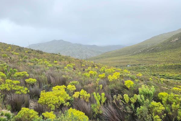 This smallholding is nestled in the breathtaking natural landscape of Rooi-Els, offering ...