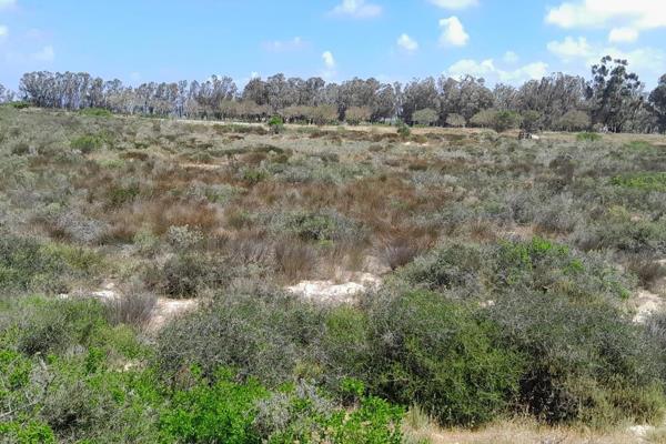 This vacant stand Hopefield is a perfect investment to build a house or start a business from home.
2.28 ha (22800 m2) of land .
The ...