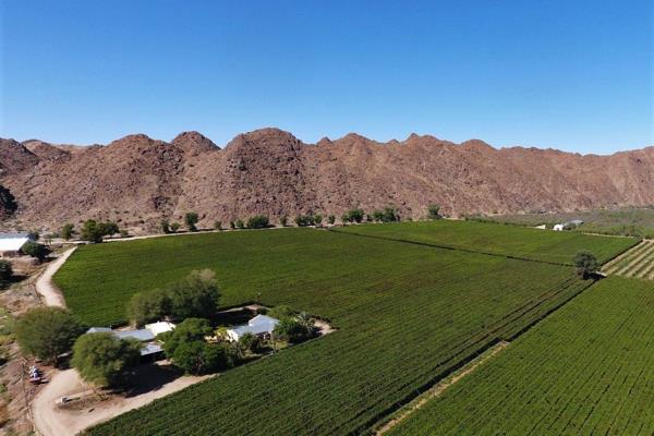 Beautiful heavenly irrigation farm for sale at Kakamas.

This area on the banks of the Orange river is an arid and mountainous area ...