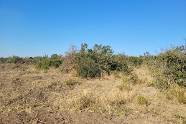 Introducing this vacant land to the market.

This plot is perfectly located in the heart of Mdingi Location, King Williams ...