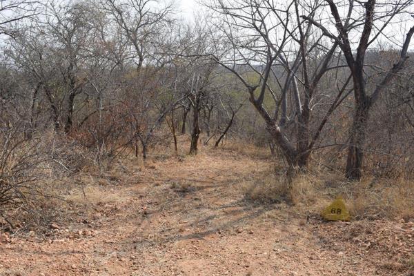 One of a few beautiful corner plots available in Elephant Rock Eco Estate ,27km from Hoedspruit
This plot, located against a koppie ...