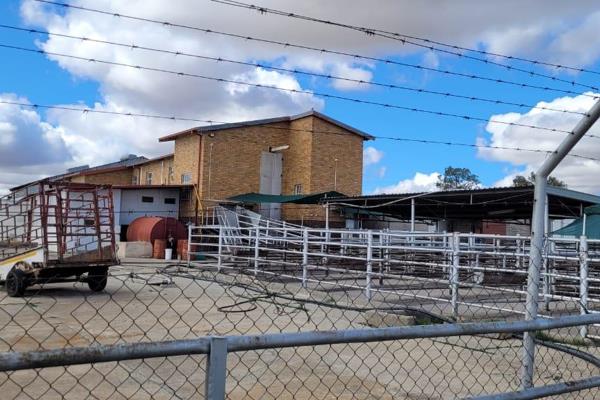 Discover a unique opportunity to own a fully-equipped abattoir and butchery facility in the Northern Free State. This property, steeped ...