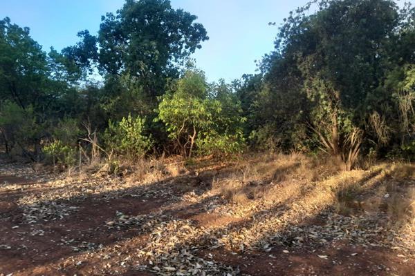 21HA Mountanous Farm For sale in Hasivona Agatha Area in Tzaneen

The Farm is Located in Agatha Area of Tzaneen with beautiful view ...