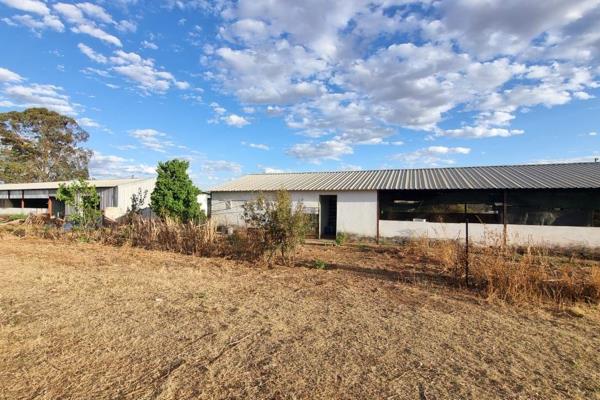 Expansive farmland with large workshops that can easily be converted into pig sties or chicken coops, offering endless possibilities. ...