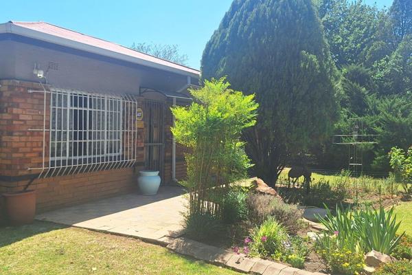 2.14 Ha - Small holding - Vanderbijlpark area
What a beautiful tree-rich garden, where you can sit and relax, listen to bird ...