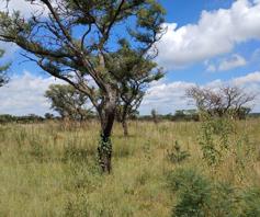 Farm for sale in Oog Van Boekenhoutskloof Alias Tweefonte