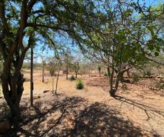 Farm for sale in Hartbeesfontein AH