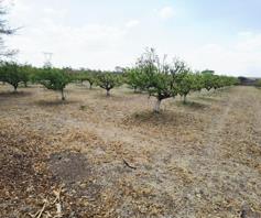 Farm for sale in Vasfontein AH