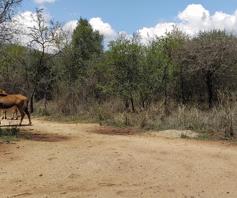 Vacant Land / Plot for sale in Greenstone Wildlife Estate