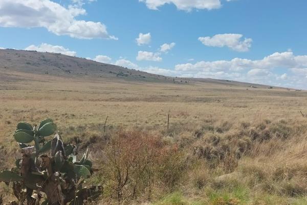 This cattle farm in the Eastern Free State gives the opportunity to start a cattle farm operation or for expanding your cattle farm ...