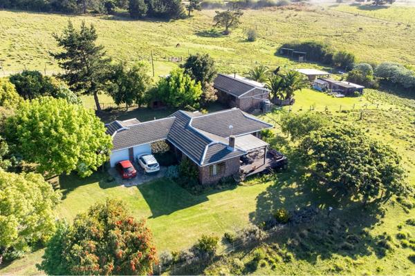 Hansmoeskraal - George  -  Small holding - with 3 houses 

This property listing offers significant appeal due to its spacious size ...