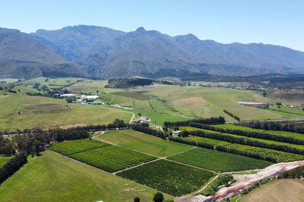 Exclusive Sole Mandate:
Unleash your entrepreneurial spirit with this fully operational fruit farm, nestled at the foot of the stunning Langeberg Mountains. Just 2 km from the charming town of Swellendam, this property ...