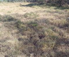 Vacant Land / Plot for sale in Mthatha