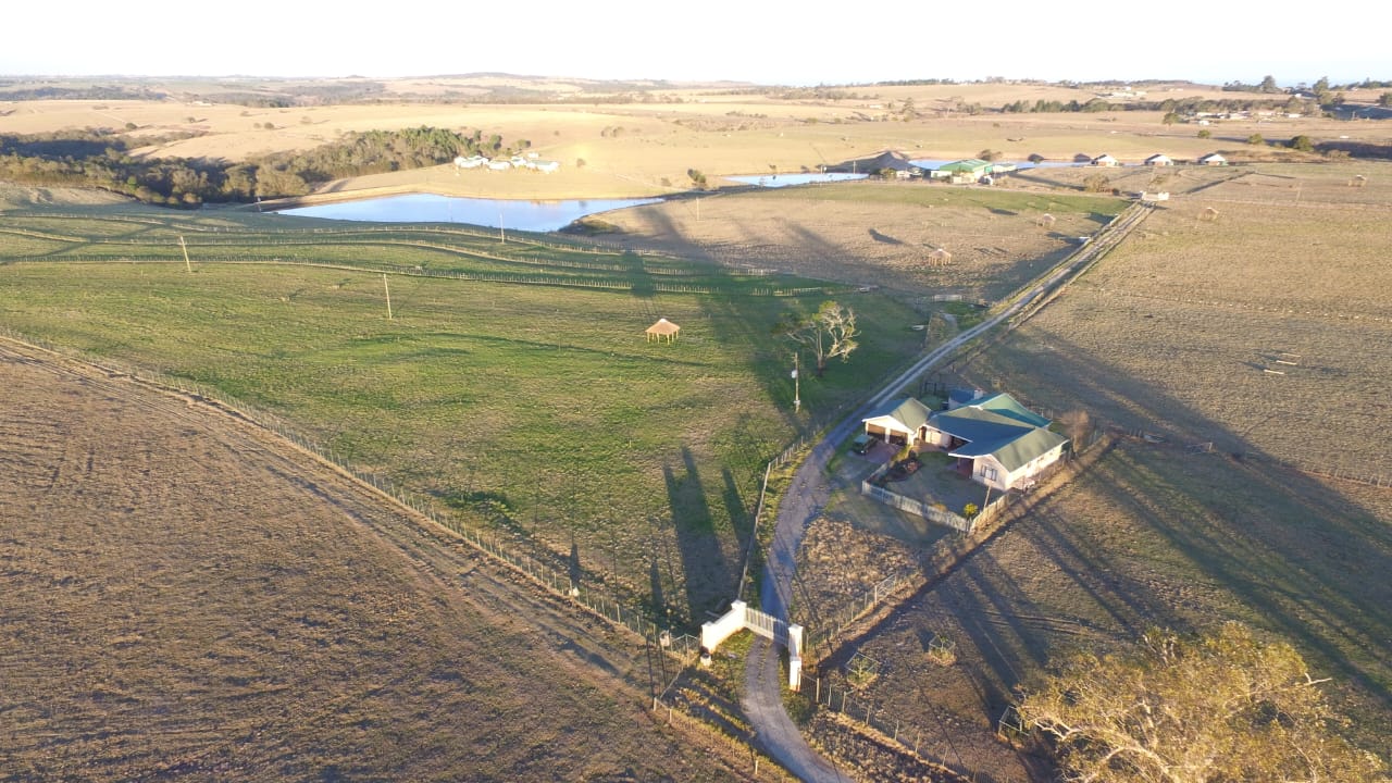 Photo of Farm for sale in Glentana
