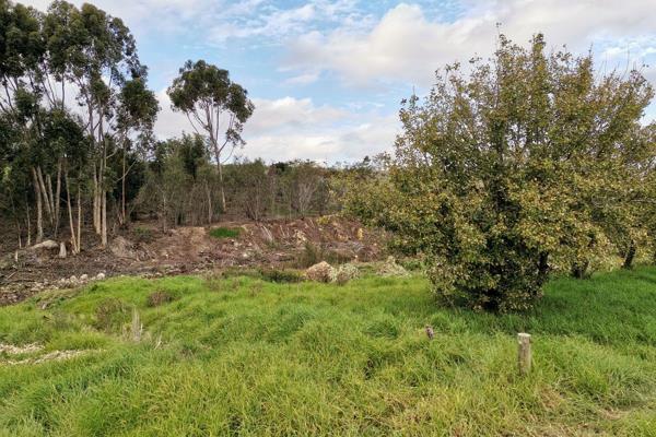 Discover Country Living in Napier
SOLE MANDATE
We are proud to present this plot which ...