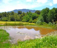 Farm for sale in Heidelberg Rural