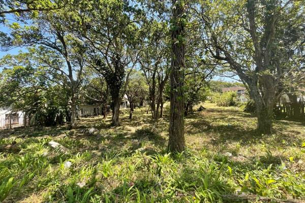 This prime vacant land, measuring 1,974 m&#178;, is perfectly situated in the vibrant heart of Manaba Beach. Just a short stroll from ...