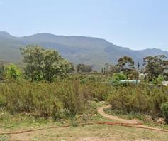 Vacant Land / Plot for sale in Greyton