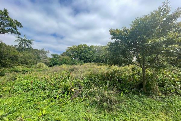 Authority To Sell

Size: 2,041 Square Meters  

Discover the potential of this exceptional 2,041 square meter vacant plot ...