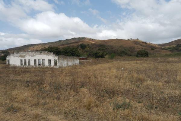 Farm land for sale with a few usable structures. There is a borehole on the property that needs a pump. There are also a few mango ...