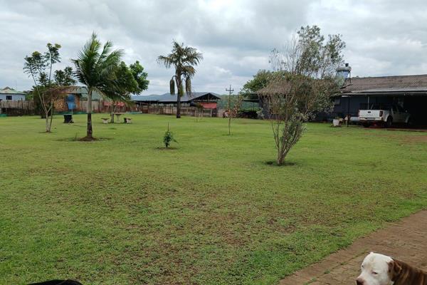 1.3 Ha Smallholding with Operational Pig Business in Nseleni. Just 15 km from Empangeni

Spacious 3-Bedroom House: Includes 2 ...