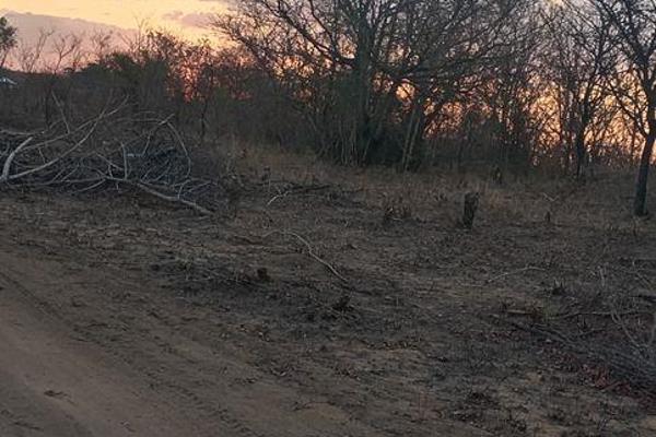 *VACANT LAND FOR SALE AT PABENI GATE*

*Price:* R35,000

*Location:* Pabeni Gate, Kruger National Park Area

*Land Details:*

- Size: ...