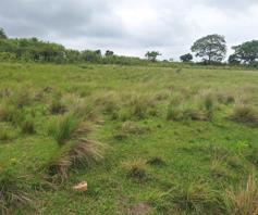 Vacant Land / Plot for sale in Umbumbulu