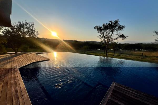 Welcome to 14 Bush Lodge, a sanctuary where luxury and nature converge in perfect harmony. Emanzini Bush Lodge 14 stands as a beacon of ...