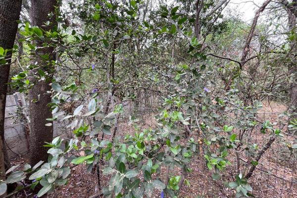 This piece of land is one of three stands which can be bought for investment purposes of buying al three and making it a complex or ...