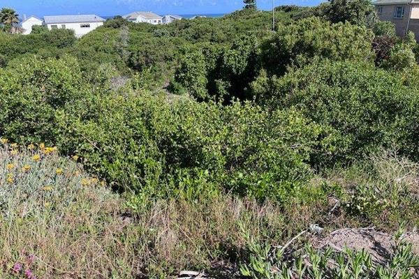 Vacant land in Paradise Beach bordering a green belt.

Sea views from the upper part.

Jeffrey’s Bay has got so many activities ...