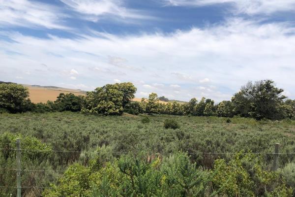 Step into Suurbraak in Swellendam and discover this 3.7-hectare agricultural plot awaiting your vision. This property offers a unique ...