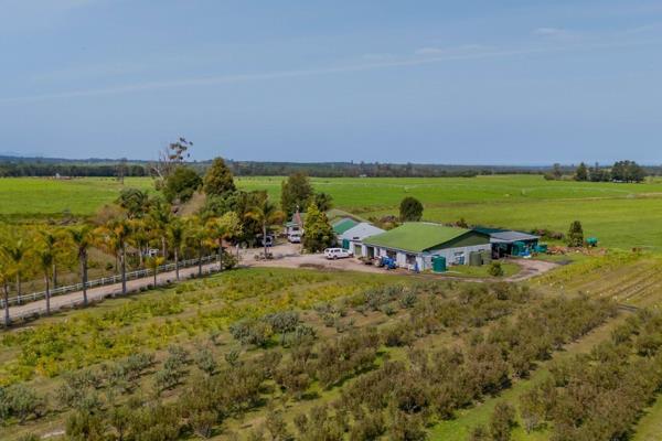 This unique mixed-use farm in the stunning Tsitsikamma, along the famous Garden Route, offers a fantastic opportunity for someone ready ...