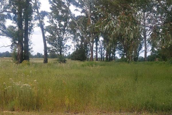 This exclusive land spanning more than 24 ha is up for grabs near the south of the Vaal River.
Viewed by many, as the best on the Vaal ...