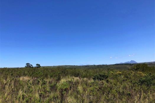 Vacant Land / Plot for sale in Gondwana Game Reserve