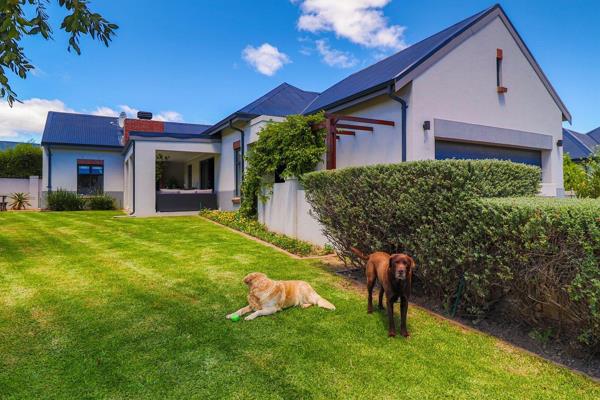 Sole Mandate | Fouchee Properties

Welcome to this delightful home in Kleine Parys Estate 1, where modern comforts meet a warm ...