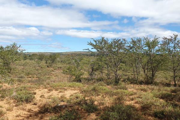 RIEBEEK EAST – Vacant plot for Sale!

Riebeek East – also known as Frontier Country is a village in the Eastern Cape province of ...