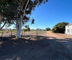 Vacant Land / Plot for sale in Hopefield Rural