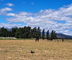 Farm for sale in Paarl Rural