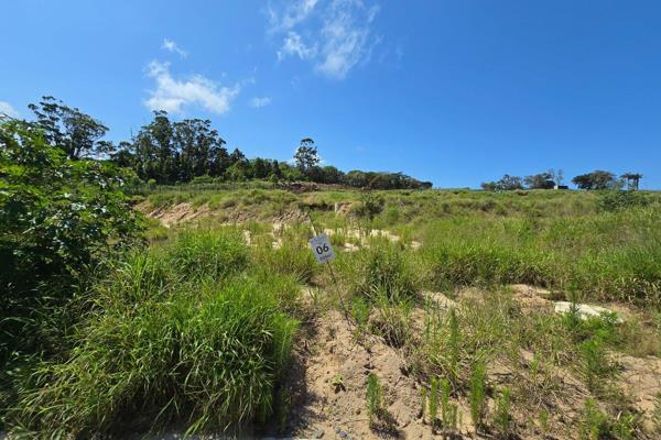 Discover the opportunity to build your dream home on this exceptional vacant plot located within the prestigious Elaleni Coastal Forest ...