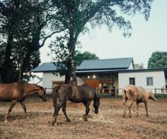 House for sale in Doornhoek Equestrian Estate