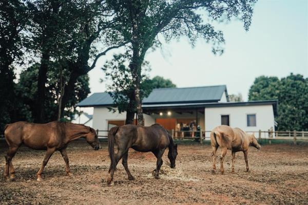 Stunning 3-Bedroom House in Doornhoek Equestrian Estate, Tzaneen 

Discover your dream lifestyle in this exquisite house located in ...