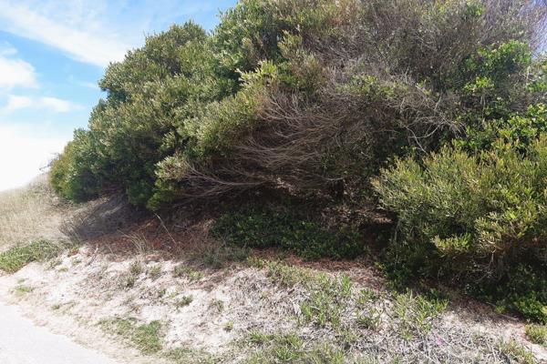 Stunning Beachfront Property in Paradise Beach – A Nature Lover’s Dream

High above the road, with uninterrupted views of the ocean ...