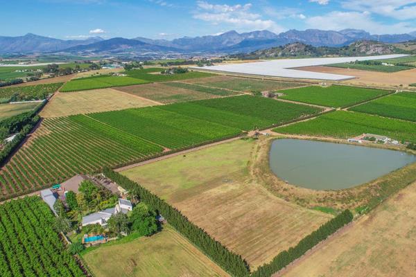 87 Hectare fruit farm situated near main routes 60 km from Cape Town Airport and Harbour.  From a production point of view it is ...